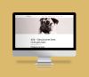Pfister Optik Website iMac