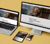 Pfister Optik Website Devices