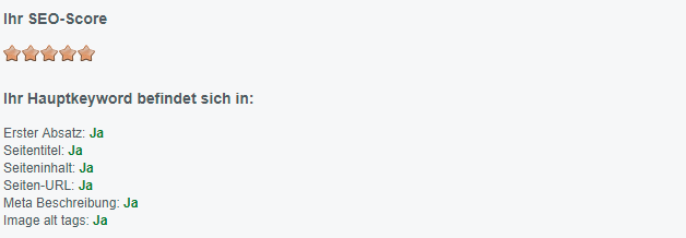 Screenshot SEO-Tool