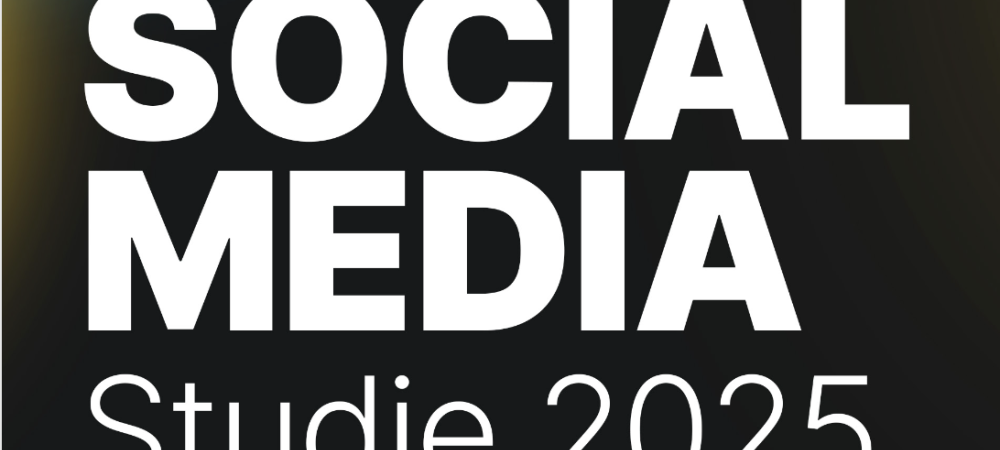 Social-Media-Studie-2025-Metricool